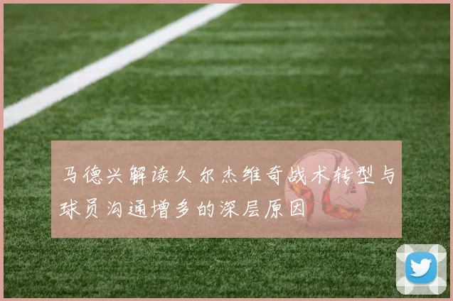 马德兴解读久尔杰维奇战术转型与球员沟通增多的深层原因